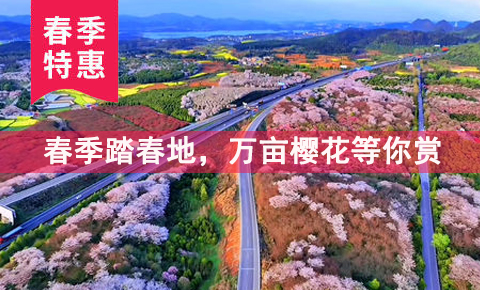 贵州安顺平坝农场樱花园一日游【【早鸟樱花预售】平坝樱花园1日 贵州安顺平坝农场樱花园一日游【【早鸟樱花预售】平坝樱花园1日