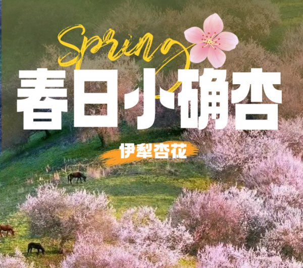 乌鲁木齐+赛里木湖·果子沟+喀赞其民俗街+吐