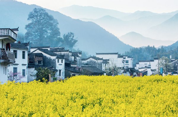 庐山风景区+景德镇+婺源4日3晚跟团游
